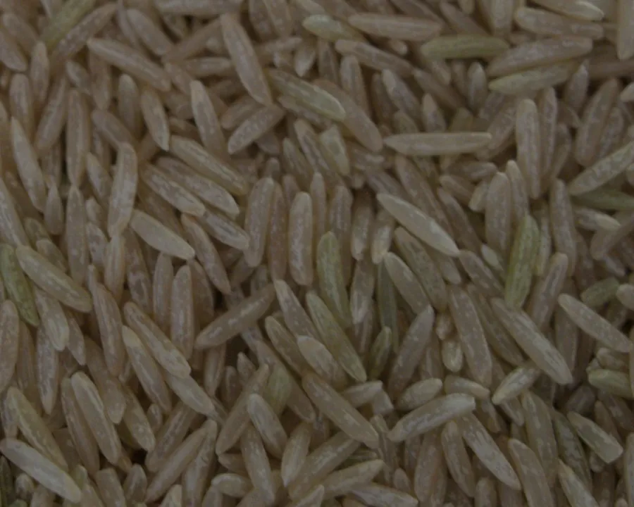 Long grain basmati rice