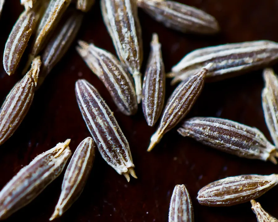 Cumin seed, close up